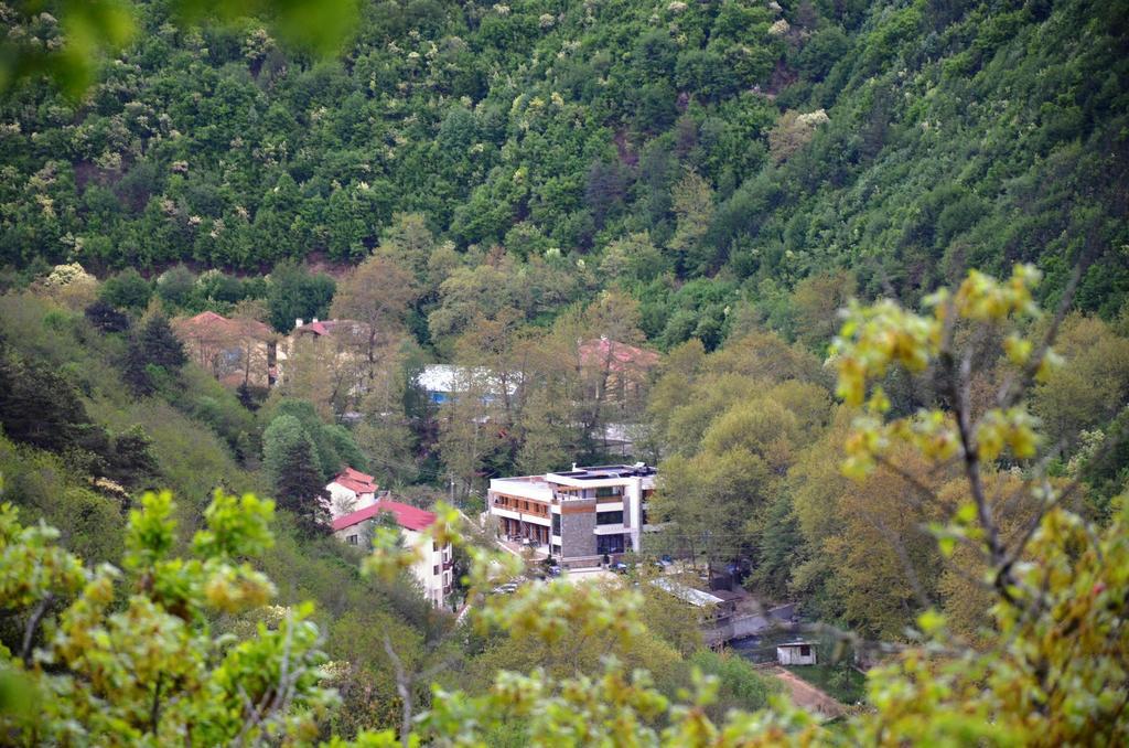 Family Hotel Bohema Ognyanovo  Extérieur photo